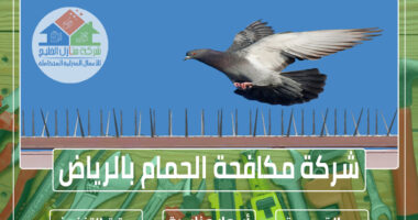 شركة مكافحة الحمام بالرياض