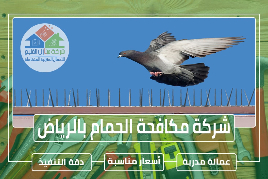 شركة مكافحة الحمام بالرياض