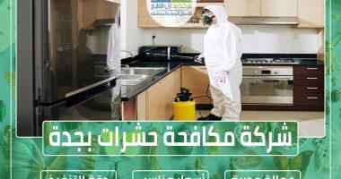 شركة مكافحة حشرات بجدة