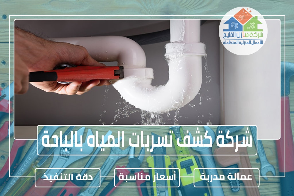 شركة كشف تسربات المياه بالباحة