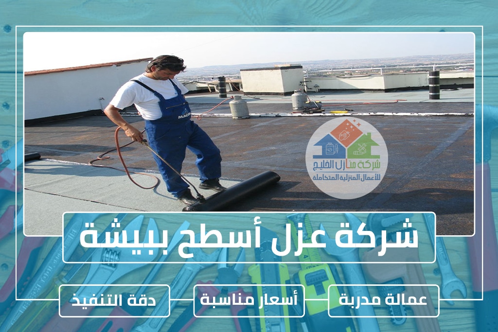شركة عزل أسطح ببيشة