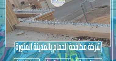 شركة مكافحة الحمام بالمدينة المنورة