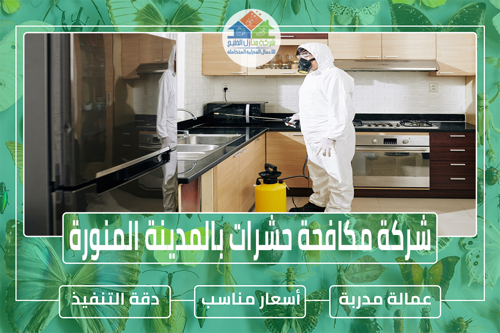 شركة مكافحة حشرات بالمدينة المنورة » الإعلان للإيجار » شركة منازل الخليج شركة مكافحة حشرات بالمدينة المنورة