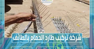 شركة تركيب طارد الحمام بالطائف