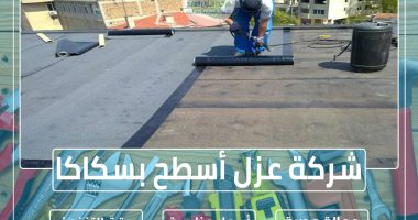 شركة عزل أسطح بسكاكا 