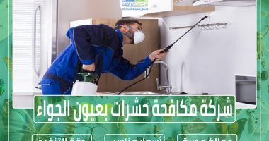 شركة مكافحة حشرات بعيون الجواء