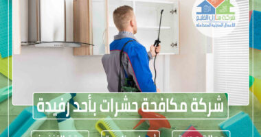 شركة مكافحة حشرات بأحد رفيدة » الإعلان للإيجار » شركة منازل الخليج
