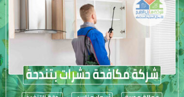 شركة مكافحة حشرات بتندحة » الإعلان للإيجار » شركة منازل الخليج