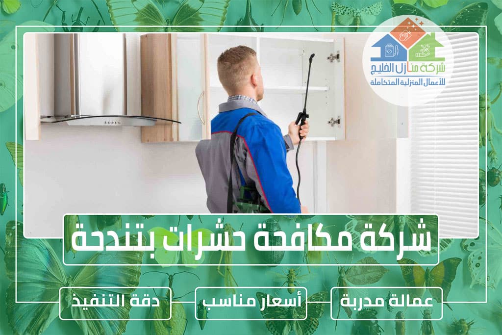 شركة مكافحة حشرات بتندحة » الإعلان للإيجار » شركة منازل الخليج