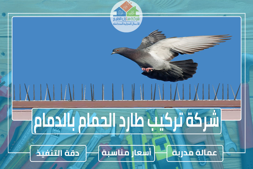 شركة تركيب طارد الحمام بالدمام 0551686078 » شركة منازل الخليج شركة تركيب طارد الحمام بالدمام