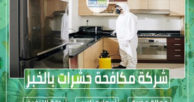 شركة مكافحة حشرات بالخبر
