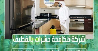 شركة مكافحة حشرات بالقطيف