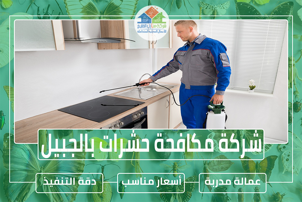 شركة مكافحة حشرات بالجبيل 0551686078 » شركة منازل الخليج شركة مكافحة حشرات بالجبيل