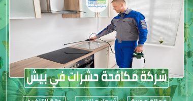 مكافحة حشرات في بيش 0553606460 مع الضمان » شركة منازل الخليج