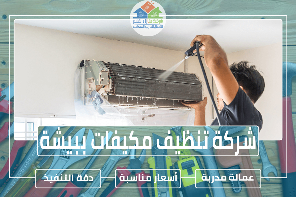 شركة تنظيف مكيفات ببيشة