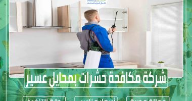 شركة مكافحة حشرات بمحايل عسير
