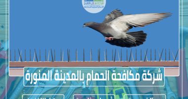 شركة تركيب طارد الحمام بالمدينة المنورة