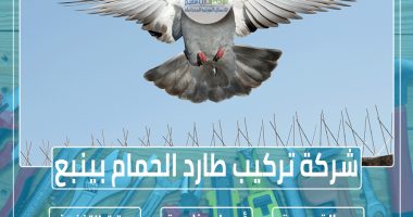 شركة تركيب طارد الحمام بينبع