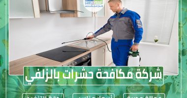شركة مكافحة حشرات بالزلفي