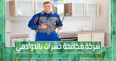 شركة مكافحة حشرات بالدوادمي