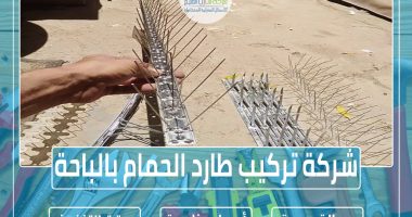 شركة تركيب طارد الحمام بالباحة