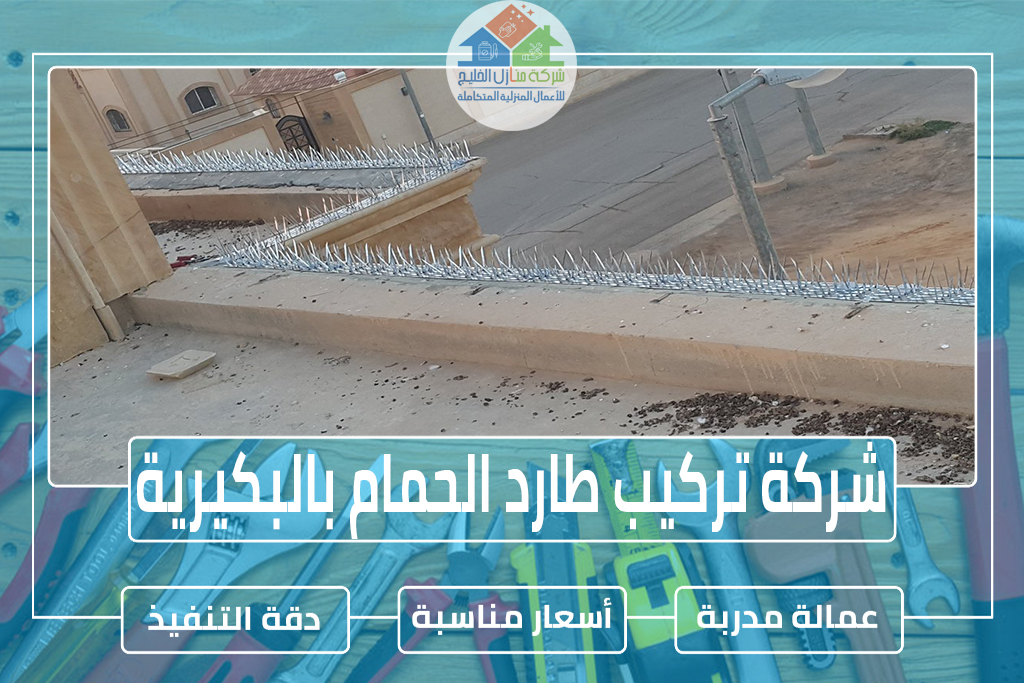 شركة تركيب طارد الحمام بالبكيرية