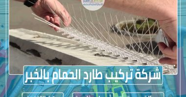 شركة تركيب طارد الحمام بالخبر