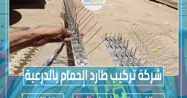 شركة تركيب طارد الحمام بالدرعية