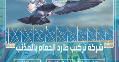 شركة تركيب طارد الحمام بالمذنب