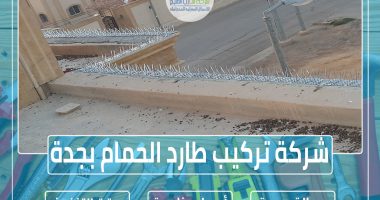 شركة تركيب طارد الحمام بجدة