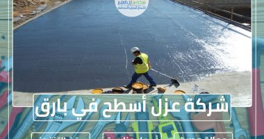 شركة عزل أسطح في بارق