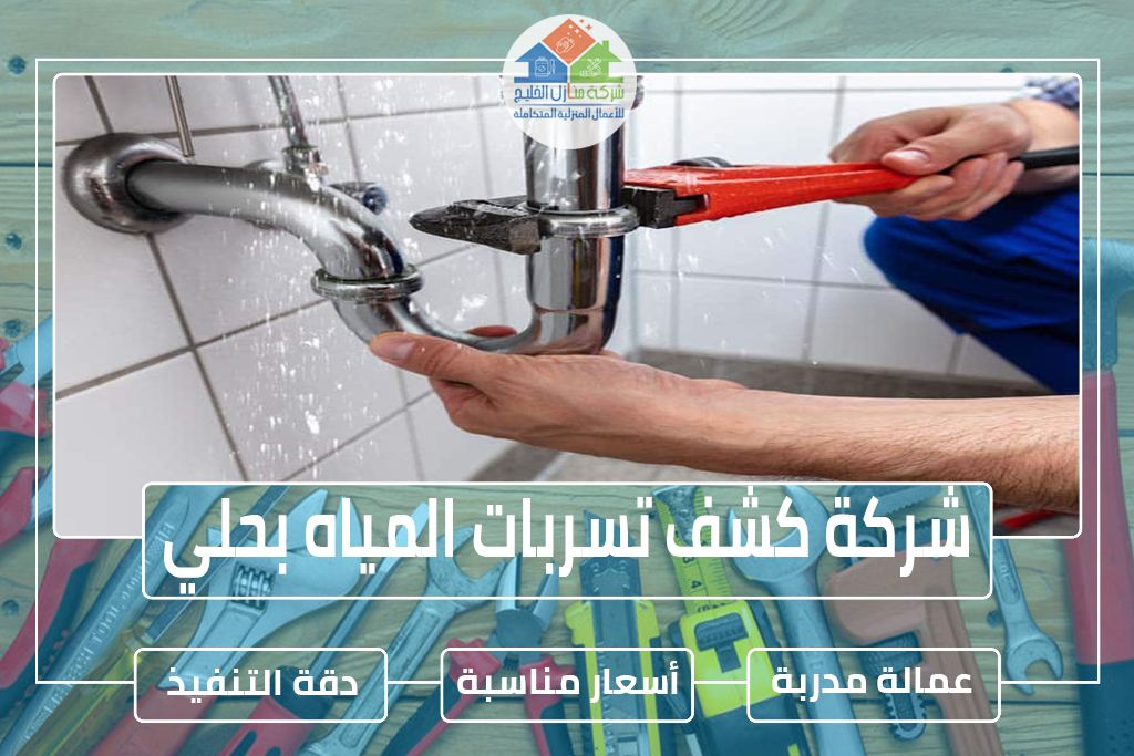 شركة كشف تسربات المياه بحلي 