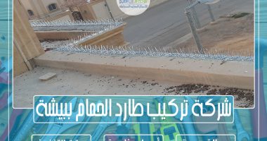 شركة تركيب طارد الحمام ببيشة