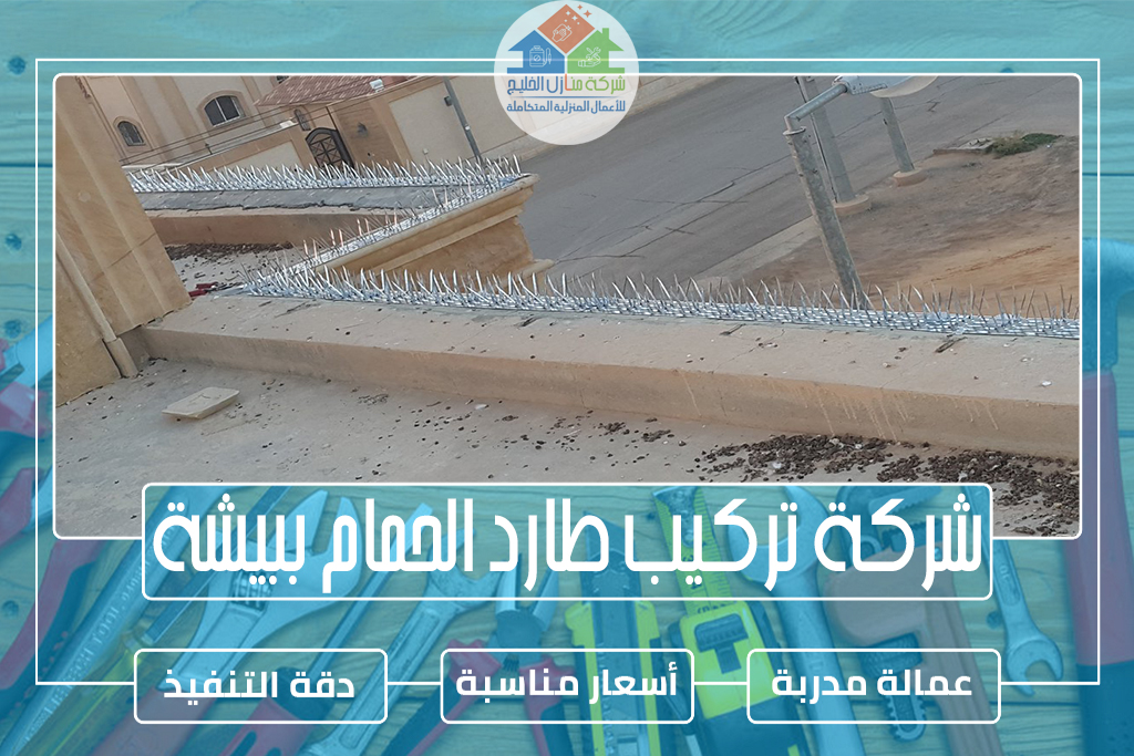 شركة تركيب طارد الحمام ببيشة